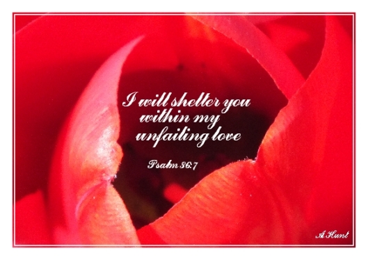 Abiding in His Love... (Picure taken from http://www.scatterthestones.co.uk/flourish-in-gods-love-for-you/)